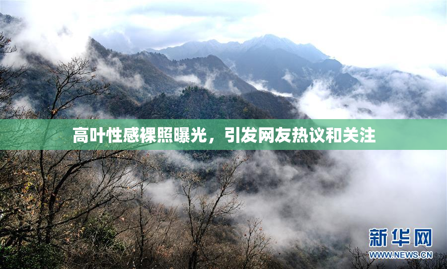 高叶性感裸照曝光，引发网友热议和关注