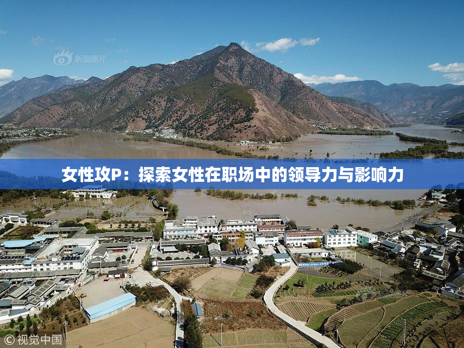 女性攻P：探索女性在职场中的领导力与影响力