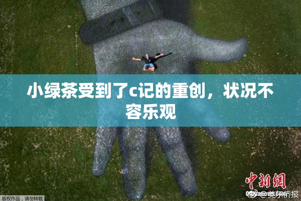 小绿茶受到了c记的重创，状况不容乐观