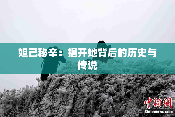 妲己秘辛：揭开她背后的历史与传说