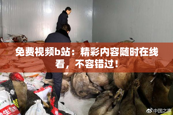 免费视频b站：精彩内容随时在线看，不容错过！