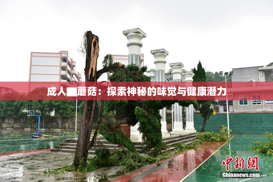 成人▇蘑菇：探索神秘的味觉与健康潜力