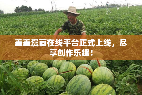 羞羞漫画在线平台正式上线，尽享创作乐趣！