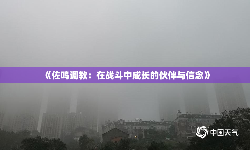 《佐鸣调教：在战斗中成长的伙伴与信念》