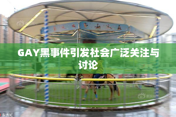 GAY黑事件引发社会广泛关注与讨论