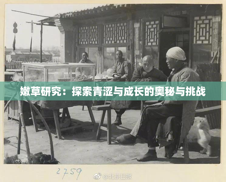 嫩草研究：探索青涩与成长的奥秘与挑战