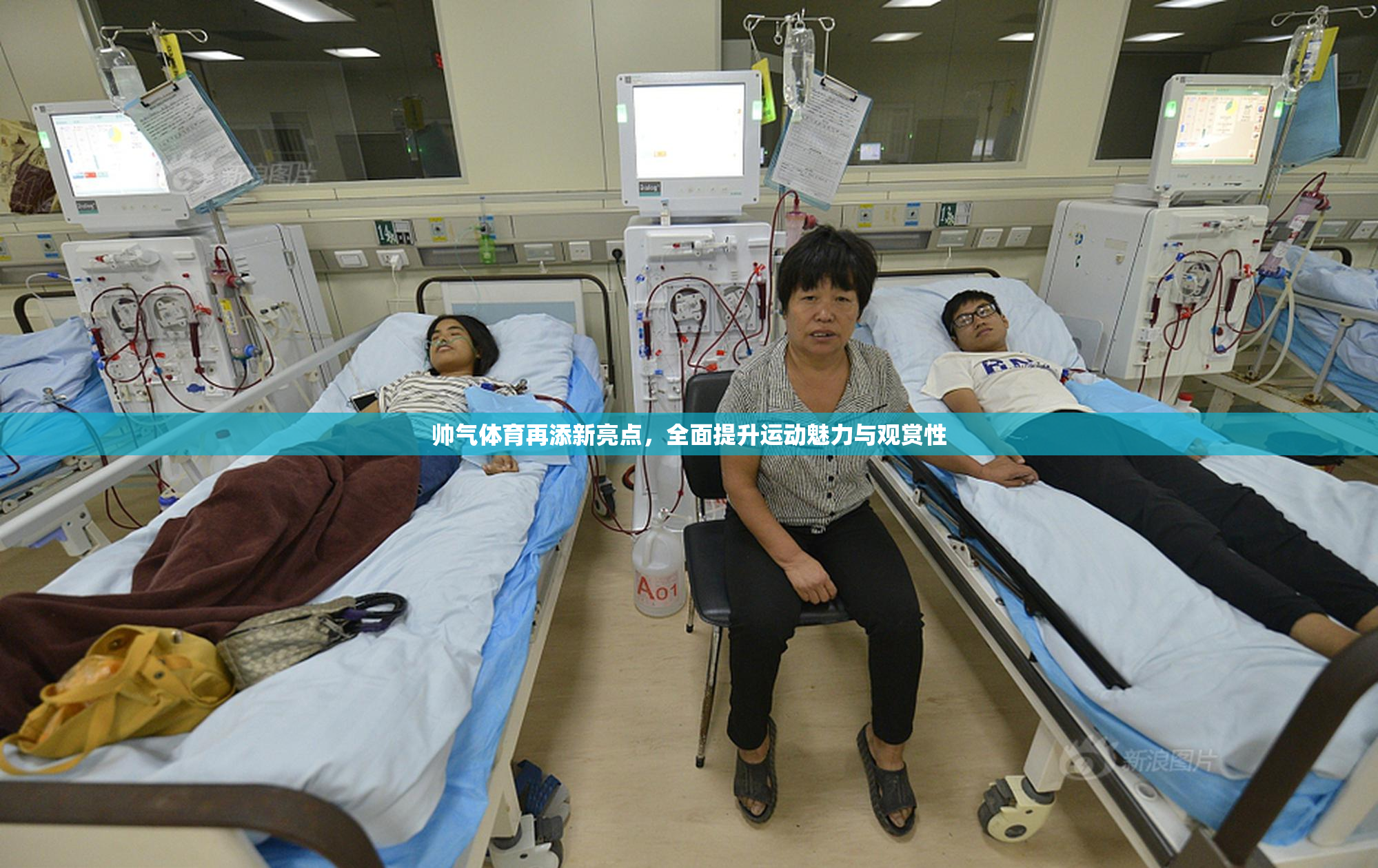 帅气体育再添新亮点，全面提升运动魅力与观赏性