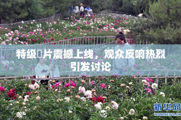 特级婬片震撼上线，观众反响热烈引发讨论