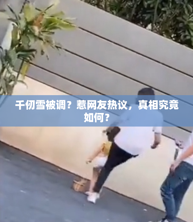 千仞雪被调？惹网友热议，真相究竟如何？