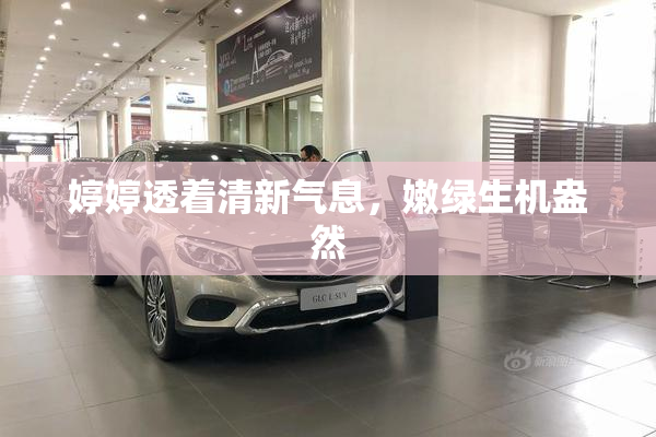 婷婷透着清新气息，嫩绿生机盎然