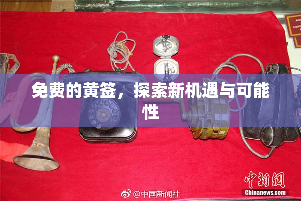 免费的黄签，探索新机遇与可能性