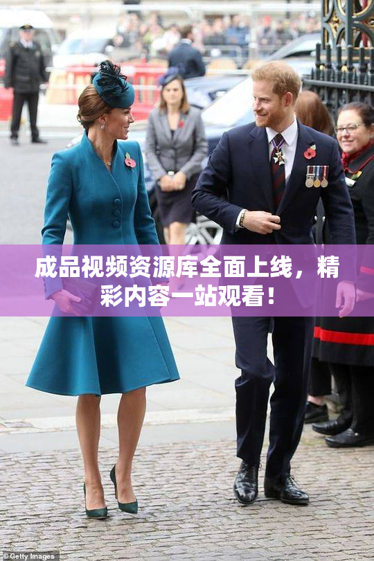 成品视频资源库全面上线，精彩内容一站观看！