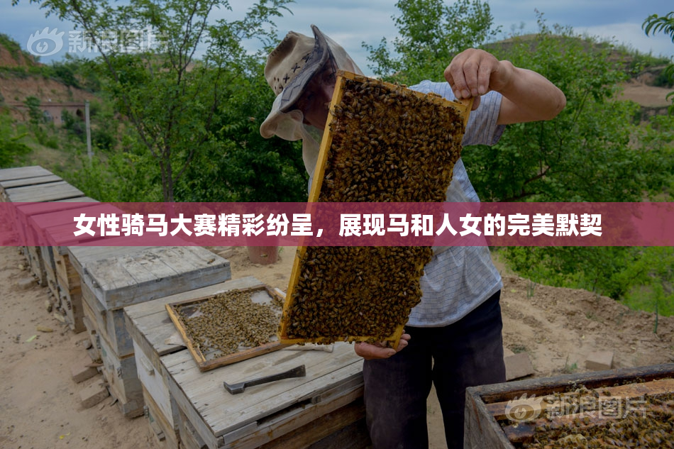 女性骑马大赛精彩纷呈，展现马和人女的完美默契