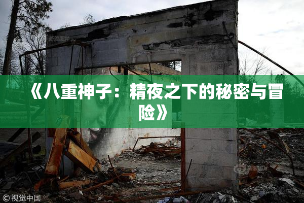 《八重神子：精夜之下的秘密与冒险》