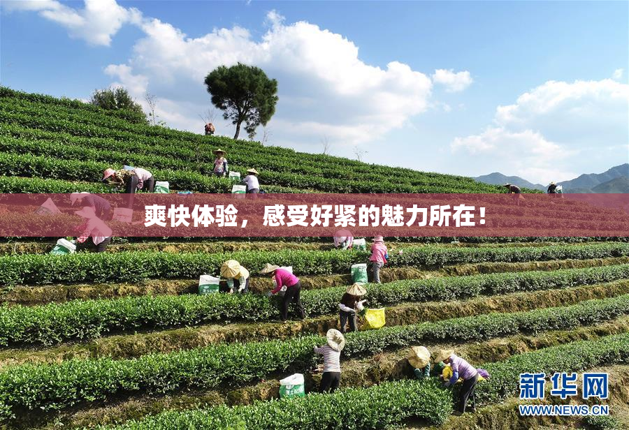 爽快体验，感受好紧的魅力所在！