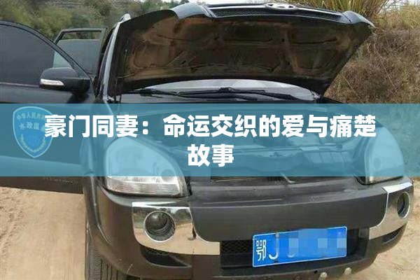 豪门同妻：命运交织的爱与痛楚故事