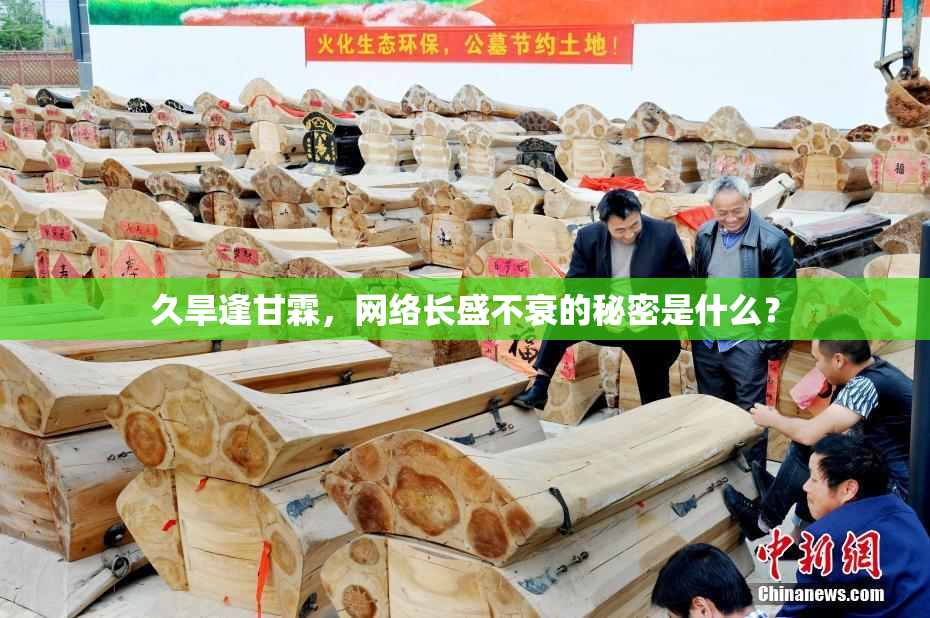 久旱逢甘霖，网络长盛不衰的秘密是什么？