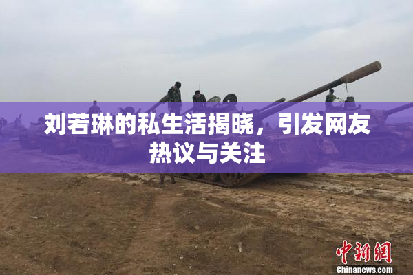 刘若琳的私生活揭晓，引发网友热议与关注