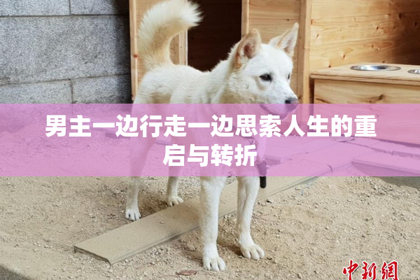 男主一边行走一边思索人生的重启与转折