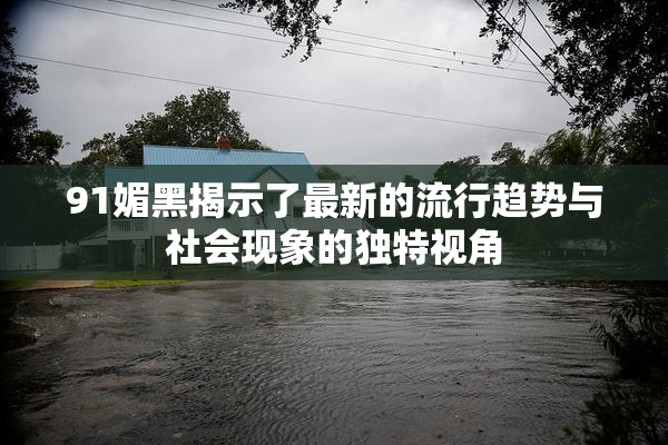 91媚黑揭示了最新的流行趋势与社会现象的独特视角
