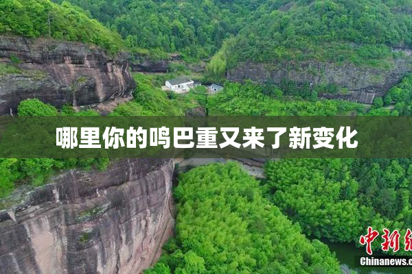 哪里你的鸣巴重又来了新变化