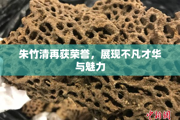 朱竹清再获荣誉，展现不凡才华与魅力