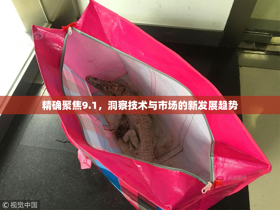 精确聚焦9.1，洞察技术与市场的新发展趋势