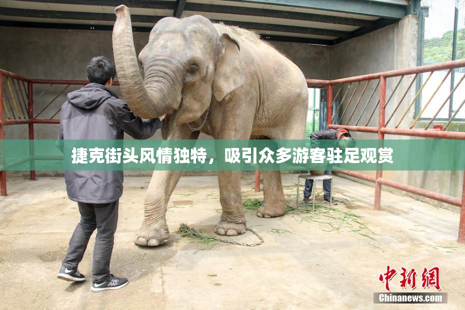捷克街头风情独特，吸引众多游客驻足观赏