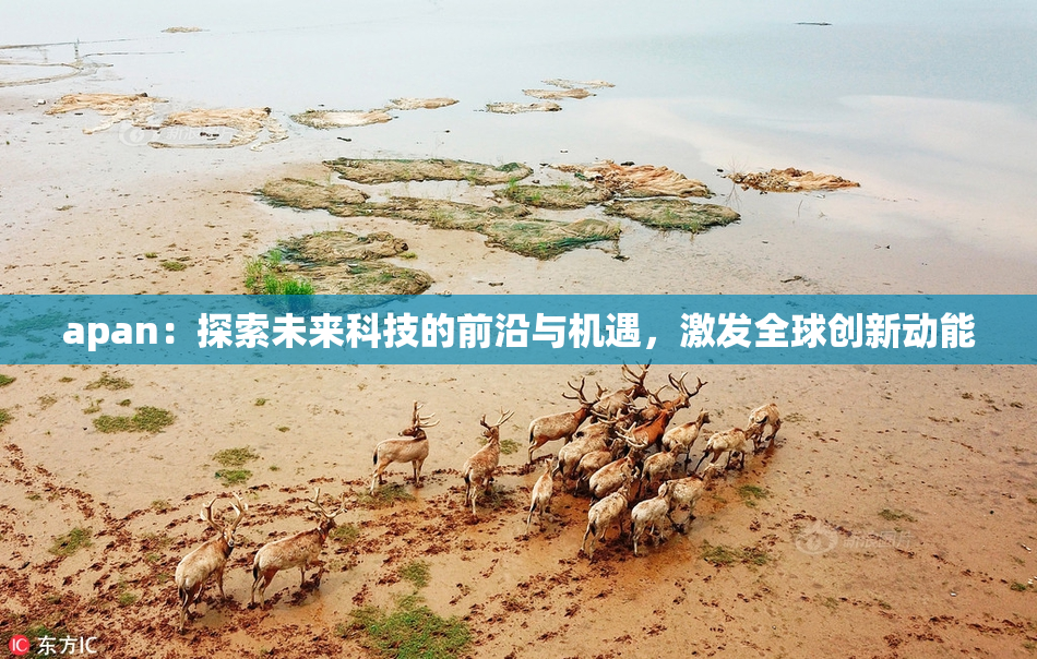 apan：探索未来科技的前沿与机遇，激发全球创新动能