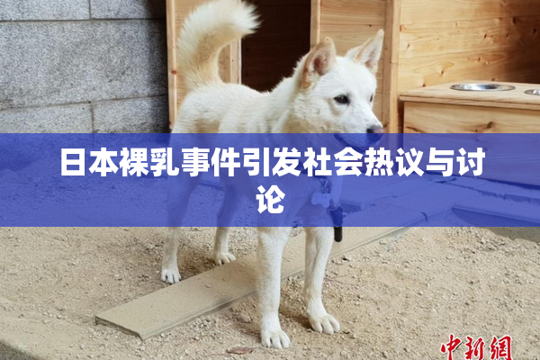 日本裸乳事件引发社会热议与讨论