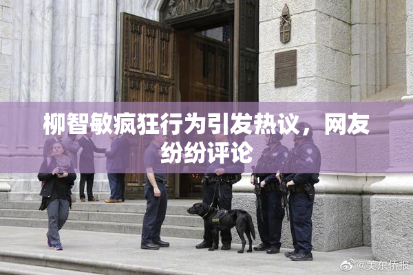柳智敏疯狂行为引发热议，网友纷纷评论