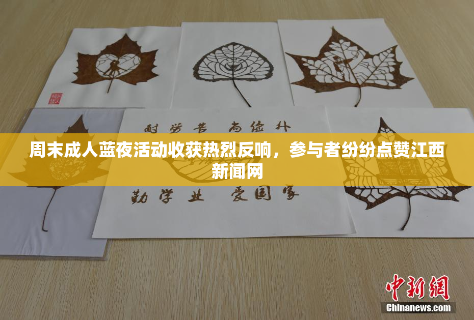周末成人蓝夜活动收获热烈反响，参与者纷纷点赞江西新闻网