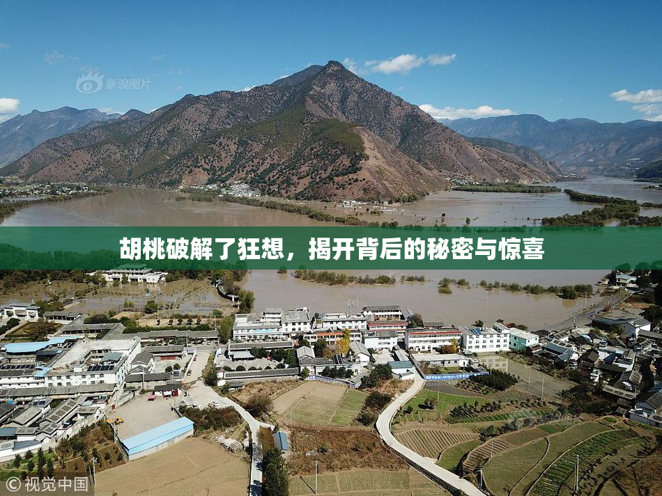 胡桃破解了狂想，揭开背后的秘密与惊喜