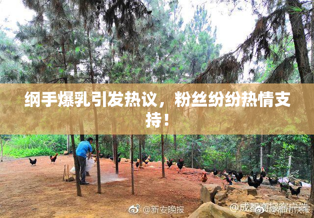 纲手爆乳引发热议，粉丝纷纷热情支持！