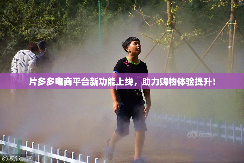 片多多电商平台新功能上线，助力购物体验提升！