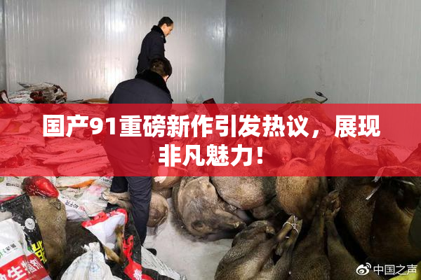 国产91重磅新作引发热议，展现非凡魅力！