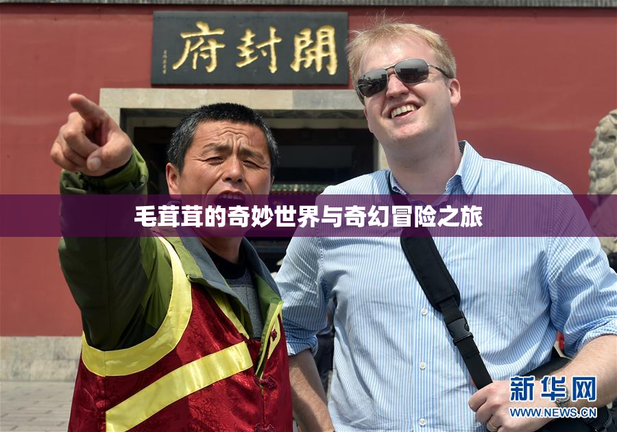毛茸茸的奇妙世界与奇幻冒险之旅