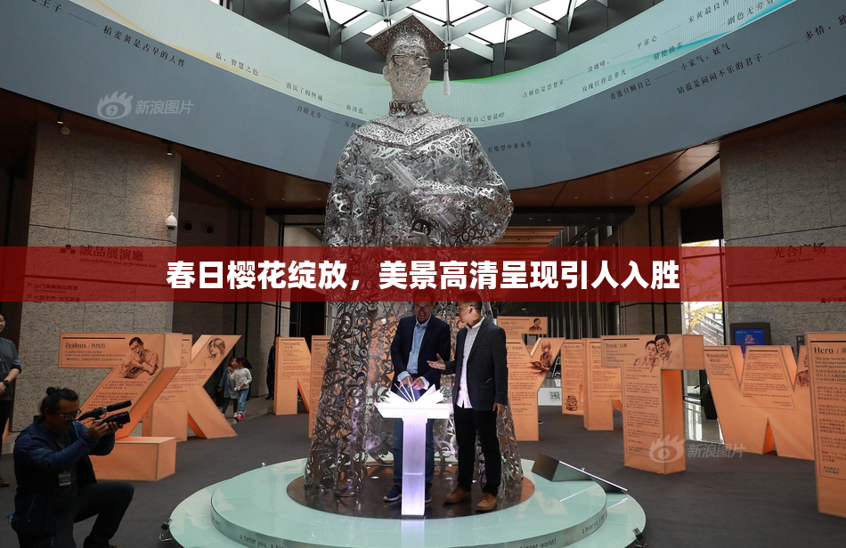 春日樱花绽放，美景高清呈现引人入胜