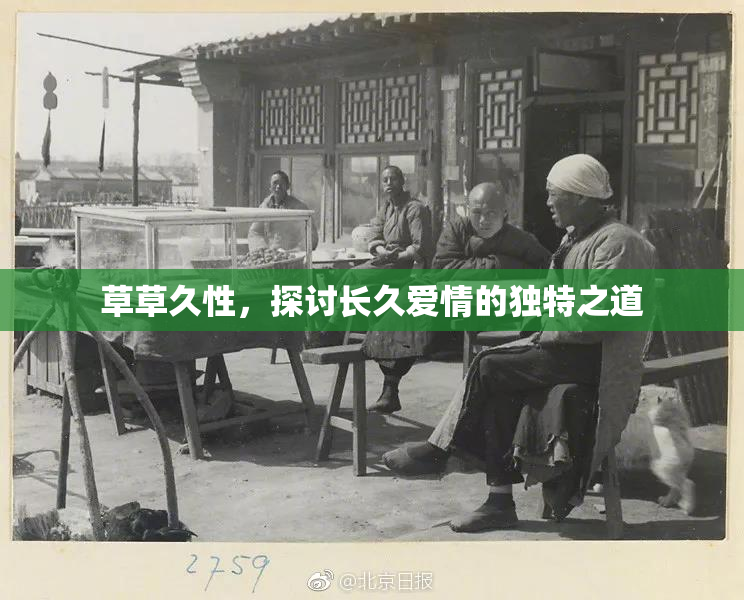 草草久性，探讨长久爱情的独特之道