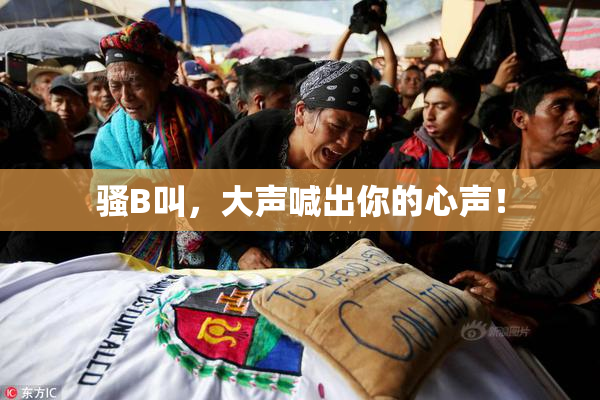 骚B叫，大声喊出你的心声！