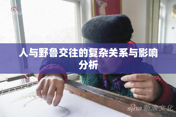 人与野鲁交往的复杂关系与影响分析
