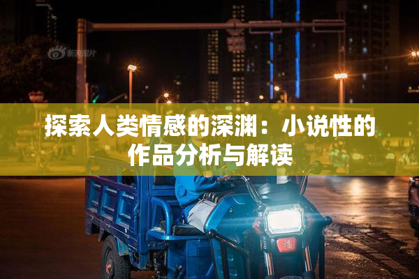 探索人类情感的深渊：小说性的作品分析与解读