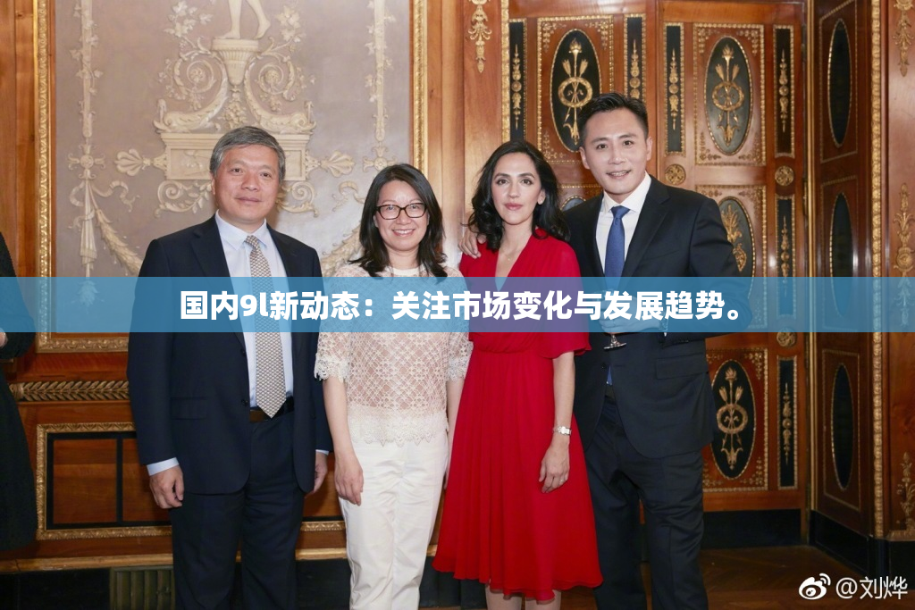 国内9l新动态：关注市场变化与发展趋势。