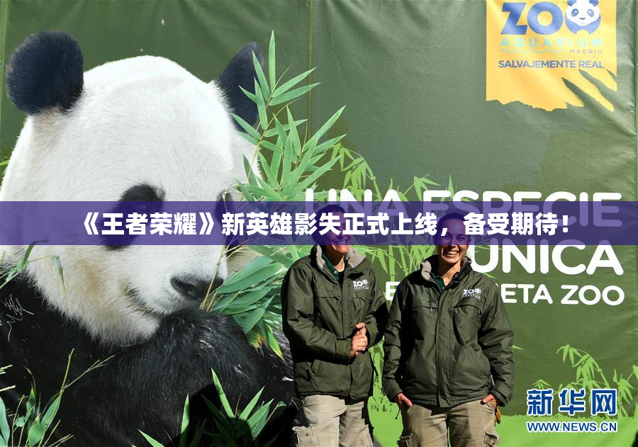 《王者荣耀》新英雄影失正式上线，备受期待！