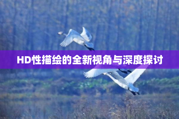 HD性描绘的全新视角与深度探讨