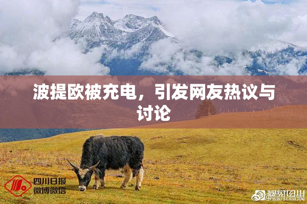 波提欧被充电，引发网友热议与讨论