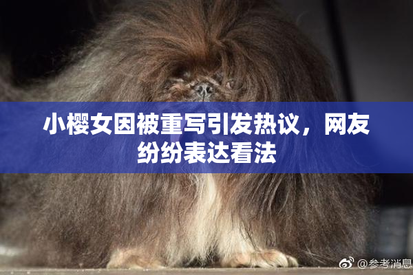 小樱女因被重写引发热议，网友纷纷表达看法
