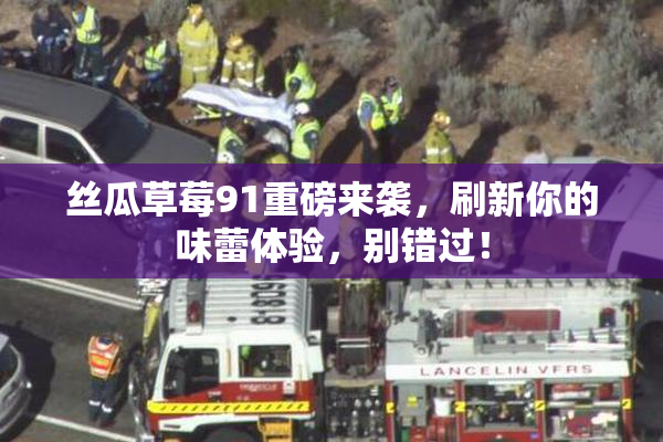 丝瓜草莓91重磅来袭，刷新你的味蕾体验，别错过！