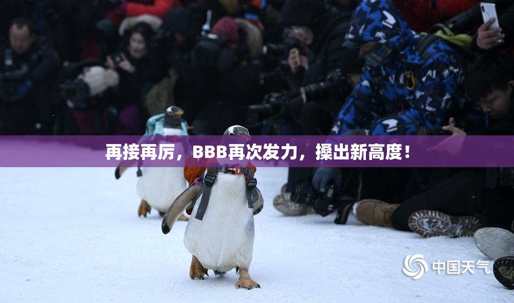 再接再厉，BBB再次发力，搡出新高度！