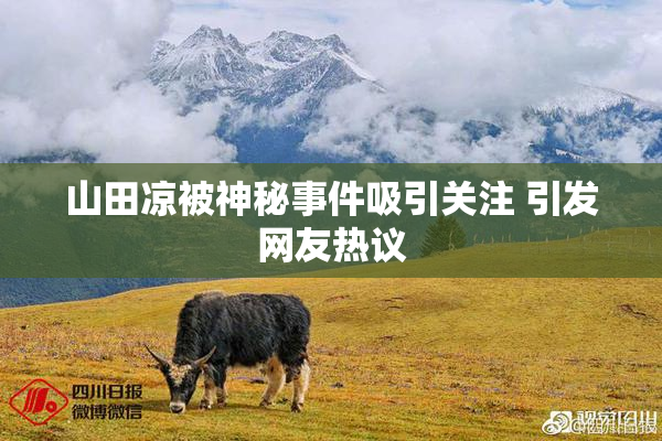 山田凉被神秘事件吸引关注 引发网友热议